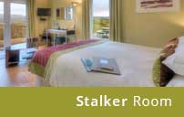 Stalker Room Aspen Lodge